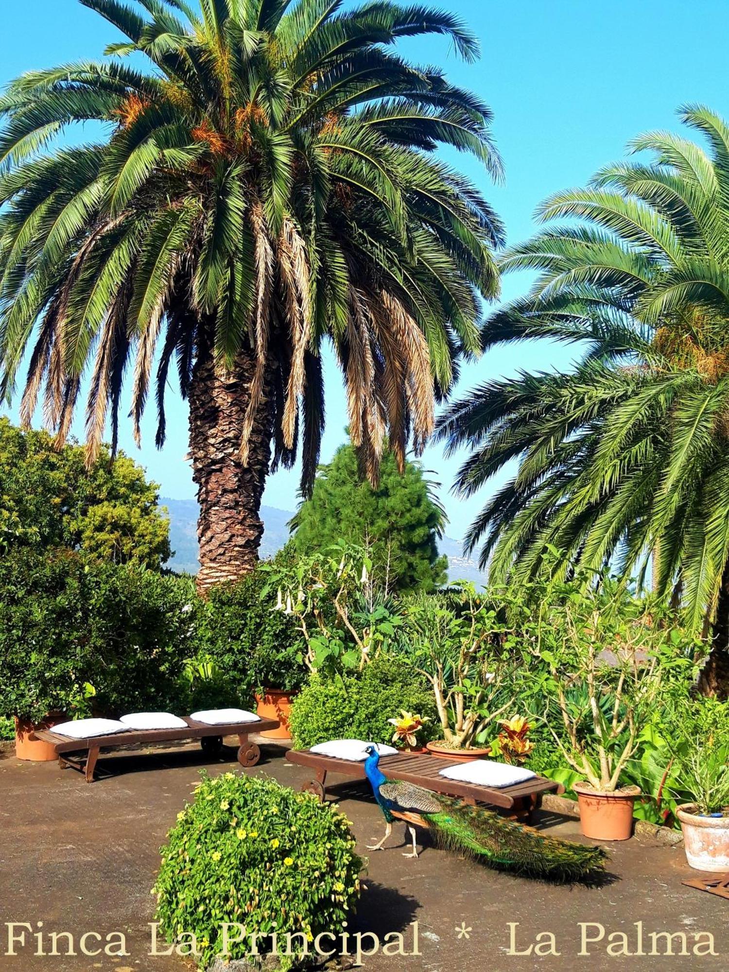 Finca La Principal Breña Alta Exteriér fotografie