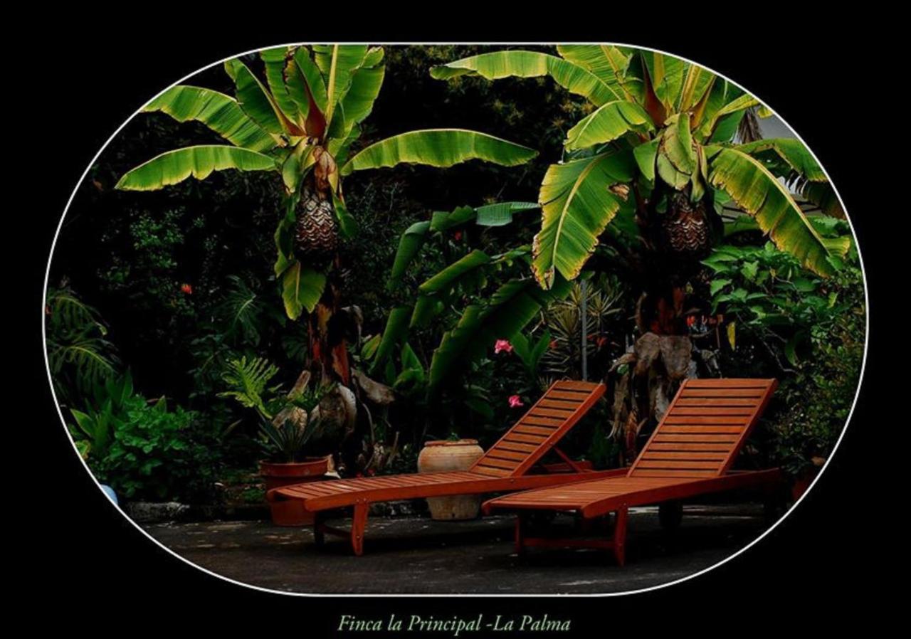 Finca La Principal Breña Alta Exteriér fotografie