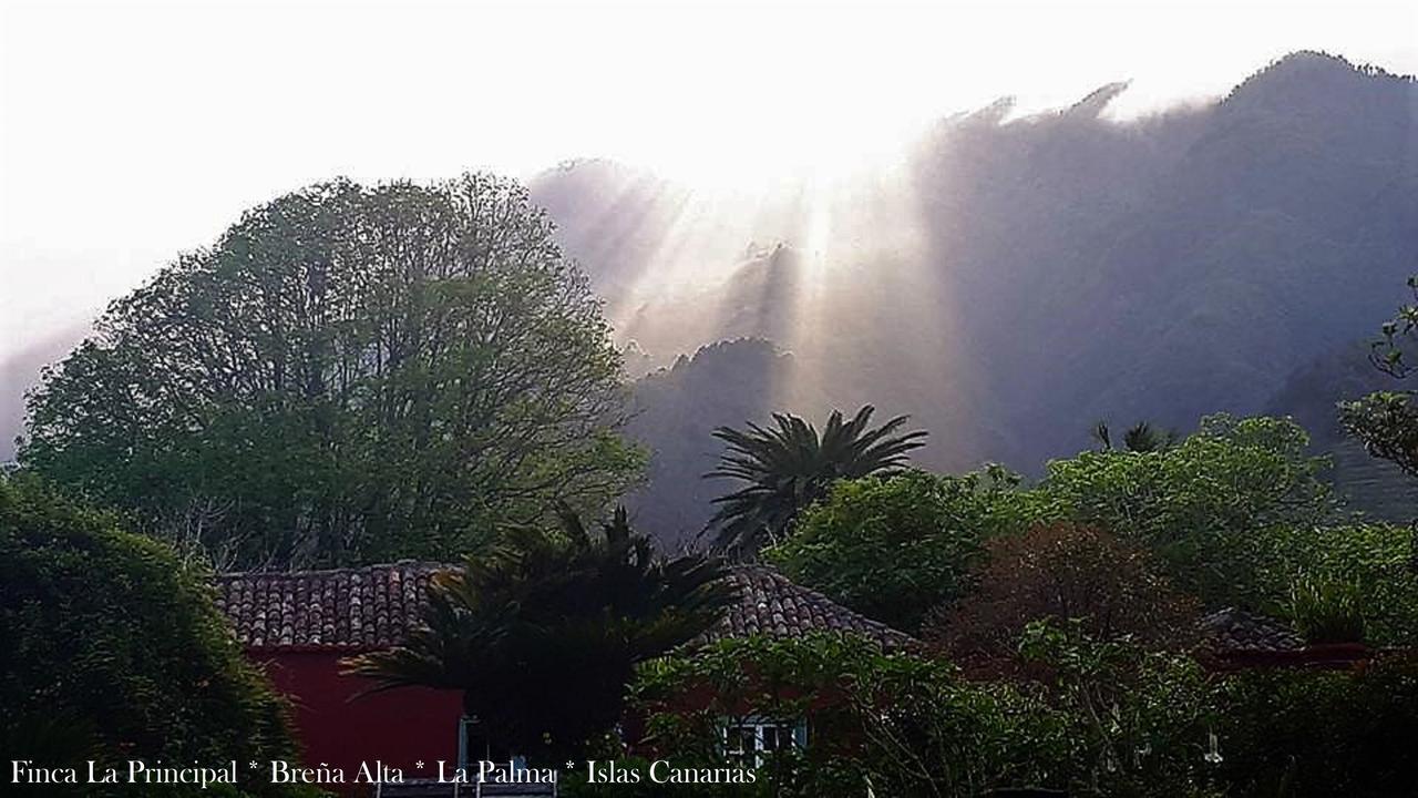 Finca La Principal Breña Alta Exteriér fotografie