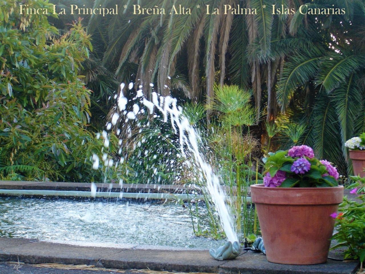 Finca La Principal Breña Alta Exteriér fotografie